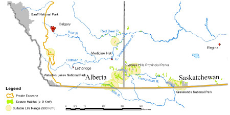 Figure 6. Map of secure habitat and suitable life ranges in the Prairie Ecozone. 